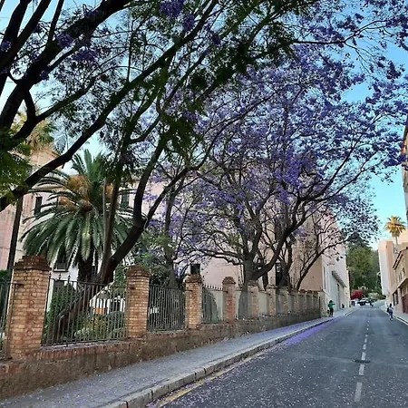 Apartamento Amar-cura